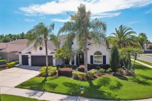 3433 LEAF LAKE DRIVE, LAND O LAKES, FL 34639 - MLS#MFRTB8501630