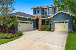 20629 WILD PLUM COURT, LAND O LAKES, FL 34637 - MLS#MFRTB8501632