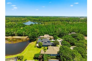 20629 WILD PLUM COURT, LAND O LAKES, FL 34637 - MLS#MFRTB8501632