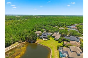 20629 WILD PLUM COURT, LAND O LAKES, FL 34637 - MLS#MFRTB8501632