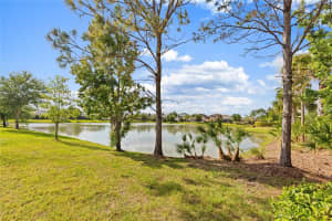 31976 WATOGA LOOP, WESLEY CHAPEL, FL 33543 - MLS#MFRTB8501640