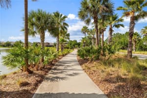 31976 WATOGA LOOP, WESLEY CHAPEL, FL 33543 - MLS#MFRTB8501640