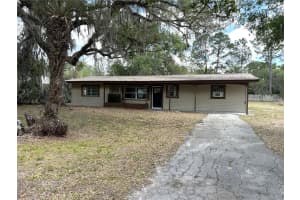 34798 EVERGREEN WAY, DADE CITY, FL 33523 - MLS#MFRTB8501663