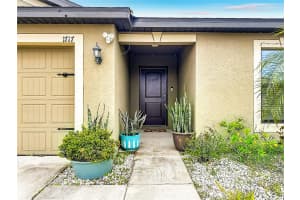 1717 CHATHAM GREEN CIRCLE, RUSKIN, FL 33570 - MLS#MFRTB8501698