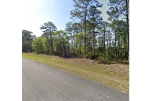 425 HOMEWAY LOOP, CITRUS SPRINGS, FL 34434 - MLS#MFRTB8501704