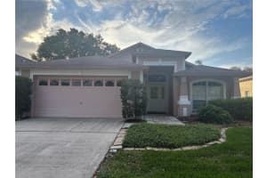 10132 Heather Sound Dr, TAMPA