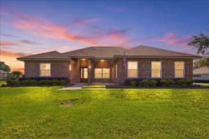 17825 SIMMS ROAD, ODESSA, FL 33556 - MLS#MFRTB8501707