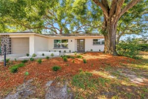 2161 Ne Hillwood Ct, CLEARWATER