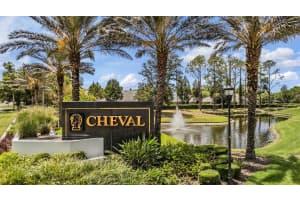 18707 PEPPER PIKE, LUTZ, FL 33558 - MLS#MFRTB8501748