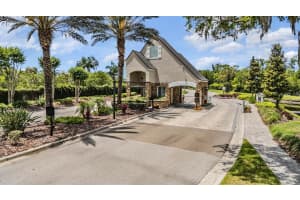 18707 PEPPER PIKE, LUTZ, FL 33558 - MLS#MFRTB8501748