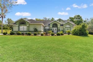 9050 WEEPING WILLOW STREET, BROOKSVILLE, FL 34613 - MLS#MFRTB8501749