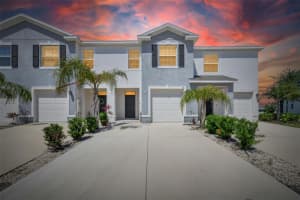 136 MANGROVE SHADE CIRCLE, APOLLO BEACH, FL 33572 - MLS#MFRTB8501761