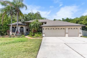 1012 Kingsborough Gardens Ct, LUTZ