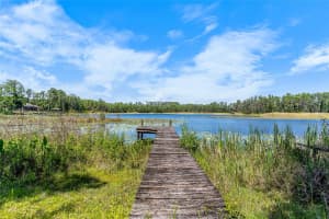 1012 KINGSBOROUGH GARDENS COURT, LUTZ, FL 33548 - MLS#MFRTB8501775