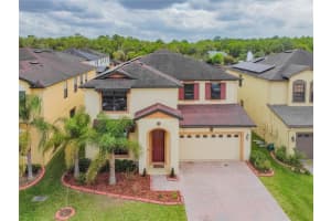 11027 Tahiti Isle Ln, TAMPA