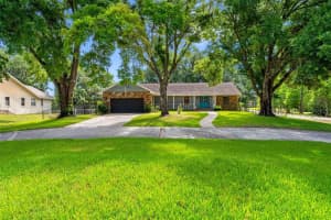 11109 WINN ROAD, RIVERVIEW, FL 33569 - MLS#MFRTB8501810