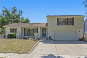 15602 Farnsworth Ln, TAMPA