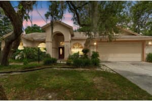 1336 WATERWOOD DRIVE, LUTZ, FL 33559 - MLS#MFRTB8501839