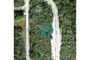 1238 BALTIC DRIVE, KISSIMMEE, FL 34759 - MLS#MFRTB8501850