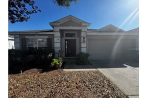 495 PAINTED LEAF DRIVE, BROOKSVILLE, FL 34604 - MLS#MFRTB8501877