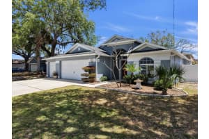 10725 DEEPBROOK DR, RIVERVIEW, FL 33569 - MLS#MFRTB8501878