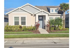 3618 PERSIMMON PARK DRIVE, WESLEY CHAPEL, FL 33543 - MLS#MFRTB8501879