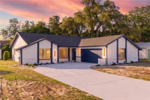 1215 WATERFALL DRIVE, SPRING HILL, FL 34608 - MLS#MFRTB8501932
