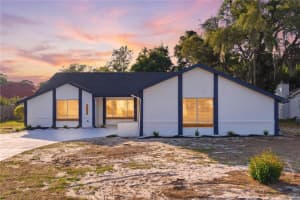 1215 WATERFALL DRIVE, SPRING HILL, FL 34608 - MLS#MFRTB8501932