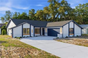 1215 WATERFALL DRIVE, SPRING HILL, FL 34608 - MLS#MFRTB8501932