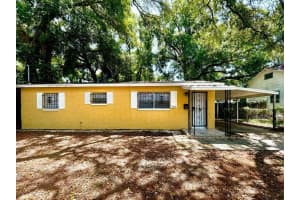 1003 E 22nd Ave, TAMPA