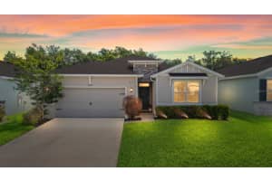 8362 WHEAT STONE DRIVE, ZEPHYRHILLS, FL 33540 - MLS#MFRTB8501960