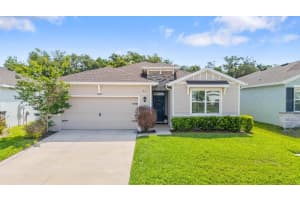 8362 WHEAT STONE DRIVE, ZEPHYRHILLS, FL 33540 - MLS#MFRTB8501960