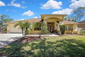 9304 Rockrose Dr, TAMPA