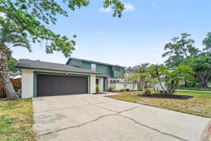 16213 Fantasia Dr, TAMPA