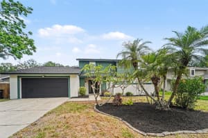 16213 FANTASIA DRIVE, TAMPA, FL 33624 - MLS#MFRTB8501986