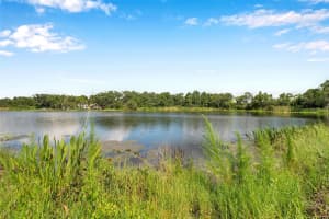 4812 WALNUT RIDGE ROAD, LAND O LAKES, FL 34638 - MLS#MFRTB8501991