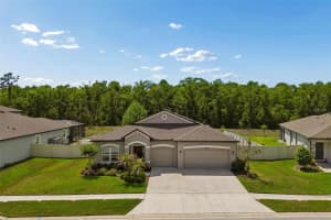 18078 ROMANESQUE COURT, SPRING HILL, FL 34610 - MLS#MFRTB8502019