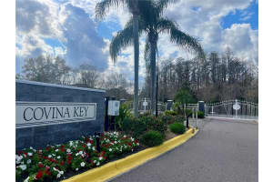 29916 ALTA VITA LANE, WESLEY CHAPEL, FL 33543 - MLS#MFRTB8502051