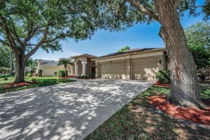 2272 WARWICK DRIVE, OLDSMAR, FL 34677 - MLS#MFRTB8502055