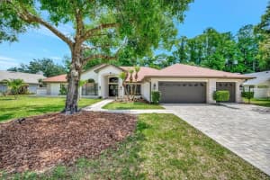 15507 FENTRESS COURT, TAMPA, FL 33647 - MLS#MFRTB8502066