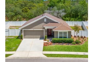 16114 VINE CLIFF AVENUE, HUDSON, FL 34667 - MLS#MFRTB8502069
