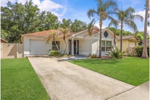 421 BENSON STREET, VALRICO, FL 33594 - MLS#MFRTB8502073