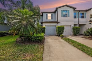MLS# MFRTB8502078, Tampa, Florida 33619