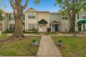 13813 FLETCHERS MILL DRIVE, TAMPA, FL 33613 - MLS#MFRTB8502099