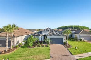 10834 CALLUNA DRIVE, ODESSA, FL 33556 - MLS#MFRTB8502100