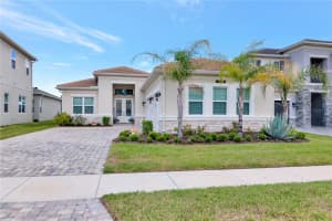32309 ROSEWOOD MEADOW LANE, WESLEY CHAPEL, FL 33543 - MLS#MFRTB8502105