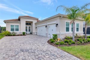 32309 ROSEWOOD MEADOW LANE, WESLEY CHAPEL, FL 33543 - MLS#MFRTB8502105
