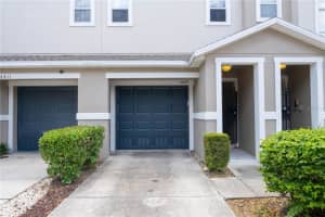 4409 Tuscan Loon Dr, TAMPA