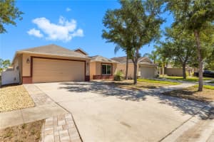 8020 ALAMOSA WOOD AVENUE, RUSKIN, FL 33573 - MLS#MFRTB8502188