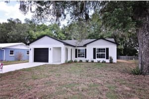, ZEPHYRHILLS